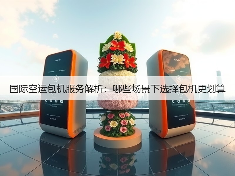 国际空运包机服务解析:哪些场景下选择包机更划算 国际空运包机服务解析:哪些场景下选择包机更划算