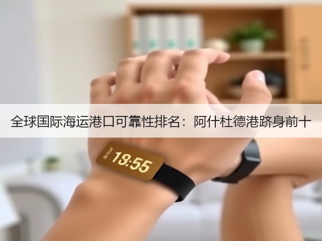全球国际海运港口可靠性排名：阿什杜德港跻身前十(图3)