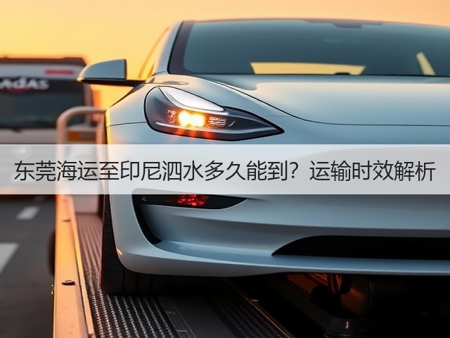 东莞海运至印尼泗水多久能到?运输时效解析(图1) 东莞海运至印尼泗水多久能到?运输时效解析(图1)