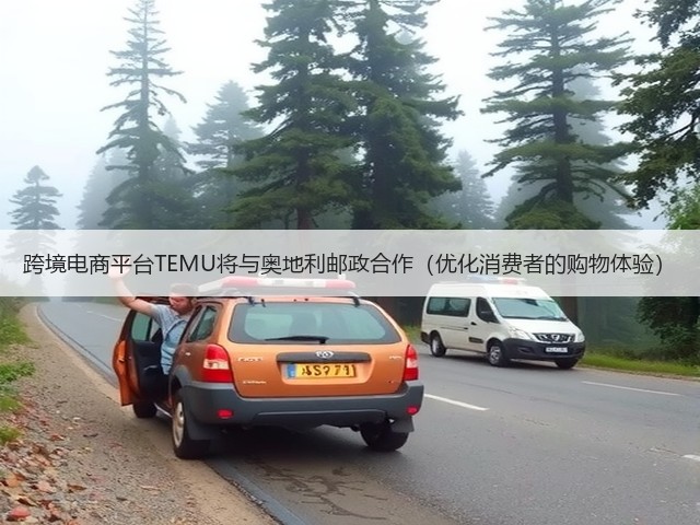 跨境电商平台TEMU将与奥地利邮政合作(优化消费者的购物体验)(图3) 跨境电商平台TEMU将与奥地利邮政合作(优化消费者的购物体验)(图3)