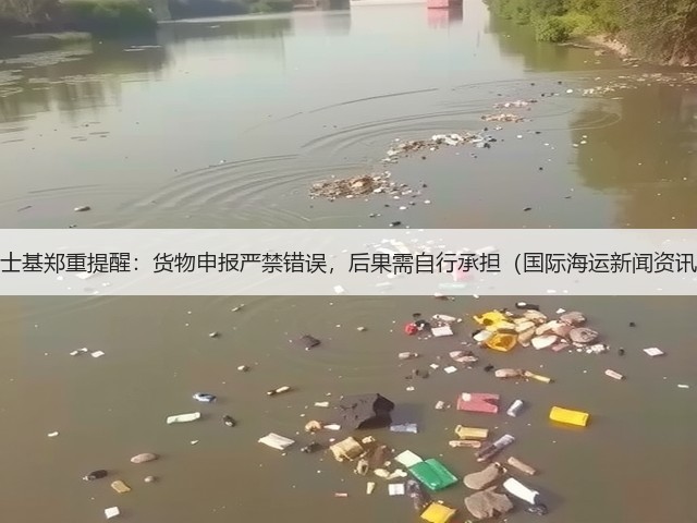 马士基郑重提醒：货物申报严禁错误，后果需自行承担（国际海运新闻资讯）(图2)