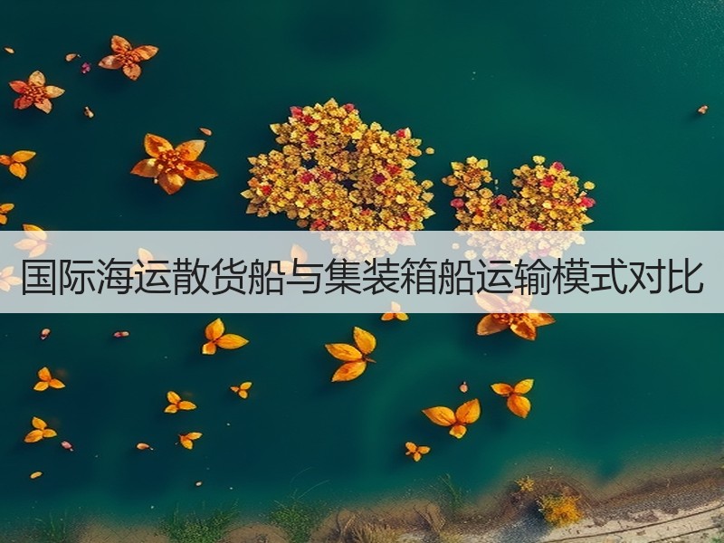 国际海运散货船与集装箱船运输模式对比 国际海运散货船与集装箱船运输模式对比