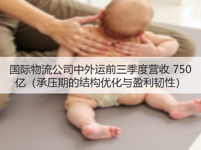 国际物流公司中外运前三季度营收 750 亿(承压期的结构优化与盈利韧性)(图1) 国际物流公司中外运前三季度营收 750 亿(承压期的结构优化与盈利韧性)(图1)