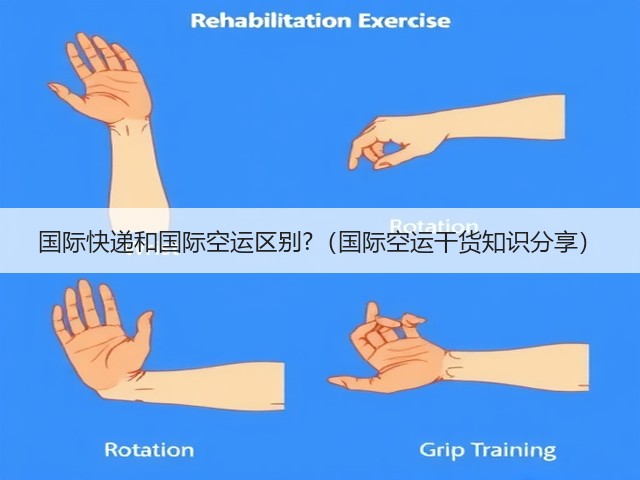 国际快递和国际空运区别?(国际空运干货知识分享)(图3) 国际快递和国际空运区别?(国际空运干货知识分享)(图3)
