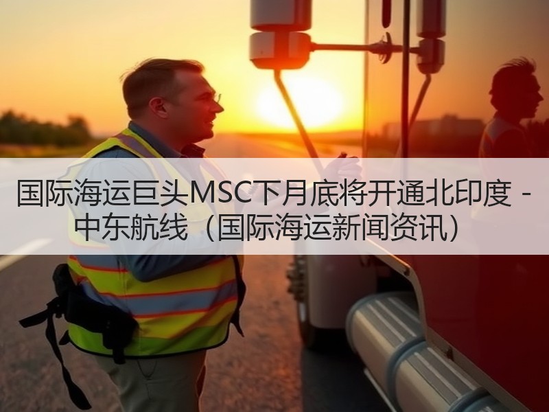 国际海运巨头MSC下月底将开通北印度 - 中东航线（国际海运新闻资讯）