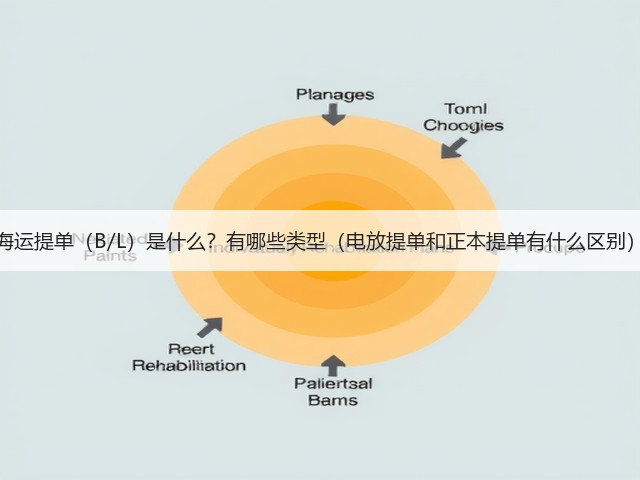 海运提单（B/L）是什么？有哪些类型（电放提单和正本提单有什么区别）(图3)