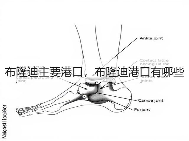 布隆迪主要港口,布隆迪港口有哪些(图3) 布隆迪主要港口,布隆迪港口有哪些(图3)