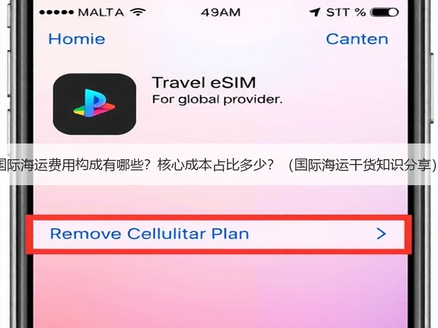 国际海运费用构成有哪些？核心成本占比多少？（国际海运干货知识分享）(图3)