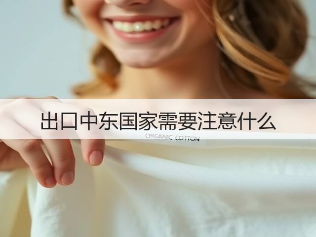 出口中东国家需要注意什么(图2) 出口中东国家需要注意什么(图2)