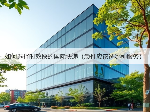 如何选择时效快的国际快递(急件应该选哪种服务)(图2) 如何选择时效快的国际快递(急件应该选哪种服务)(图2)