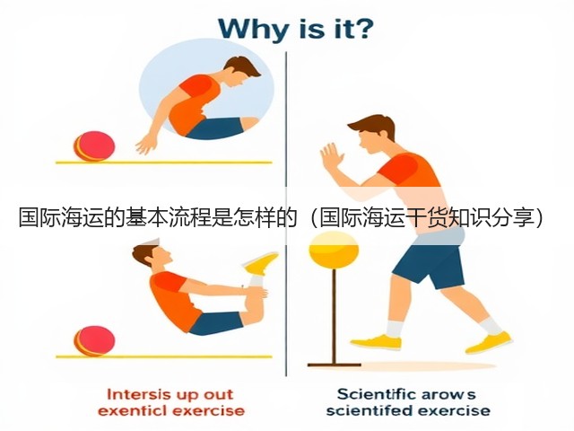 国际海运的基本流程是怎样的(国际海运干货知识分享)(图3) 国际海运的基本流程是怎样的(国际海运干货知识分享)(图3)