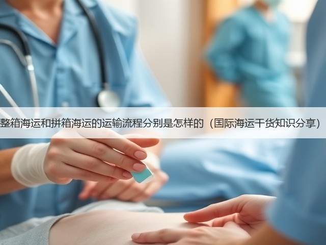 整箱海运和拼箱海运的运输流程分别是怎样的(国际海运干货知识分享)(图3) 整箱海运和拼箱海运的运输流程分别是怎样的(国际海运干货知识分享)(图3)