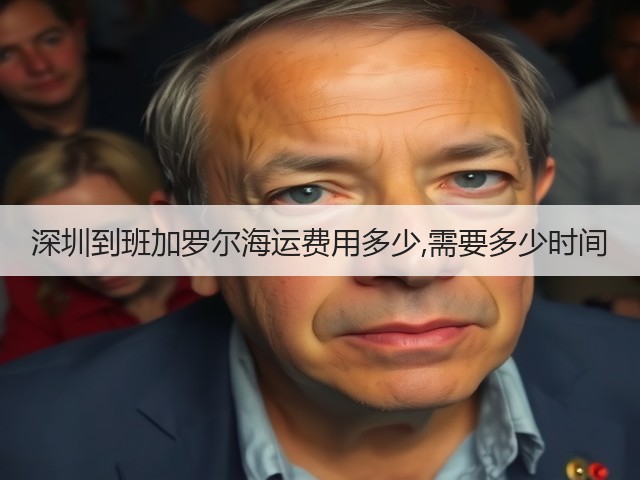 深圳到班加罗尔海运费用多少,需要多少时间(图2) 深圳到班加罗尔海运费用多少,需要多少时间(图2)