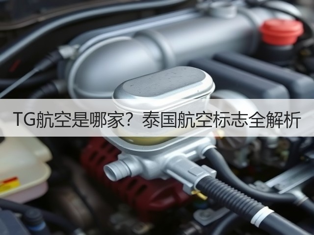 TG航空是哪家?泰国航空标志全解析(图1) TG航空是哪家?泰国航空标志全解析(图1)