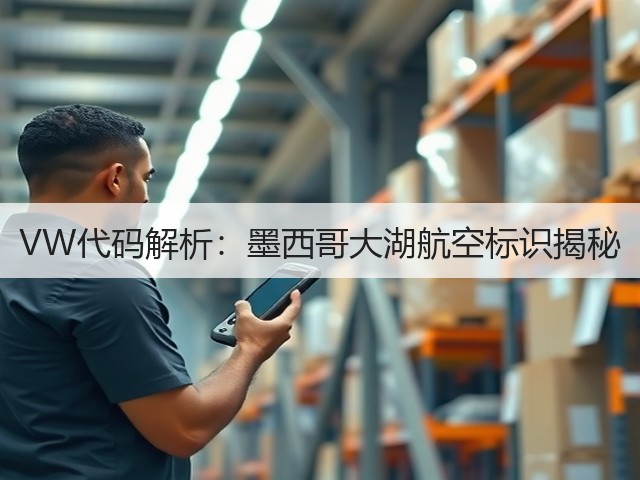 VW代码解析：墨西哥大湖航空标识揭秘(图3)