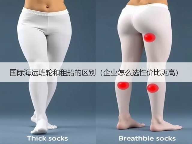 国际海运班轮和租船的区别(企业怎么选性价比更高)(图2) 国际海运班轮和租船的区别(企业怎么选性价比更高)(图2)