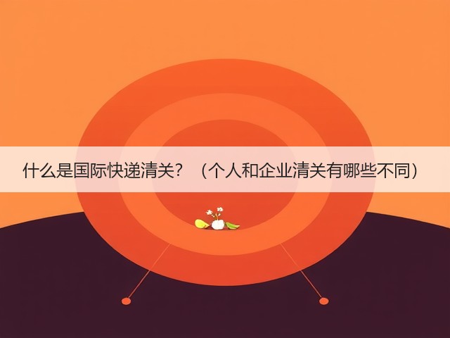 什么是国际快递清关?(个人和企业清关有哪些不同)(图2) 什么是国际快递清关?(个人和企业清关有哪些不同)(图2)