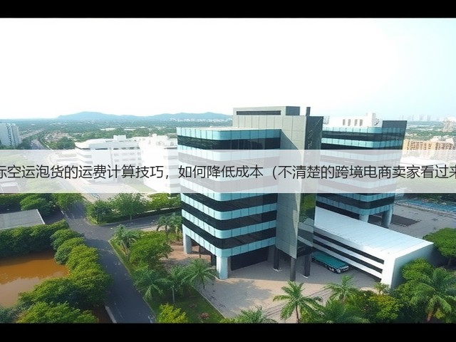 国际空运泡货的运费计算技巧,如何降低成本(不清楚的跨境电商卖家看过来)(图1) 国际空运泡货的运费计算技巧,如何降低成本(不清楚的跨境电商卖家看过来)(图1)