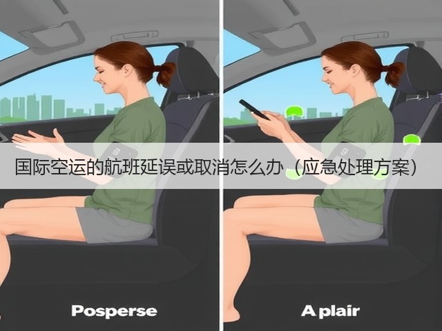 国际空运的航班延误或取消怎么办(应急处理方案)(图2) 国际空运的航班延误或取消怎么办(应急处理方案)(图2)