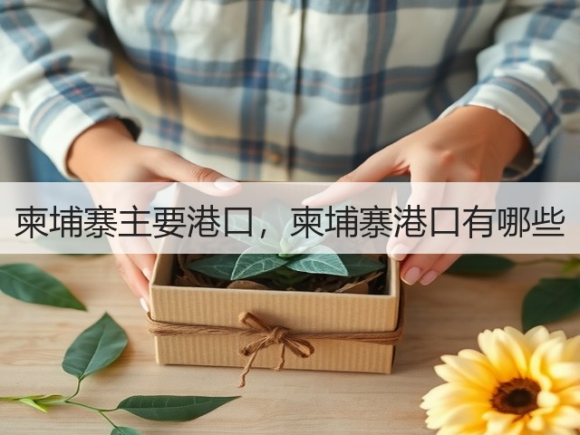 柬埔寨主要港口,柬埔寨港口有哪些(图3) 柬埔寨主要港口,柬埔寨港口有哪些(图3)