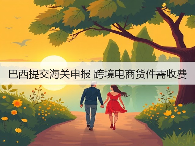巴西提交海关申报 跨境电商货件需收费(图1) 巴西提交海关申报 跨境电商货件需收费(图1)