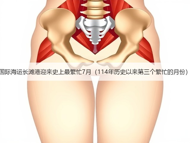 国际海运长滩港迎来史上最繁忙7月(114年历史以来第三个繁忙的月份)(图1) 国际海运长滩港迎来史上最繁忙7月(114年历史以来第三个繁忙的月份)(图1)