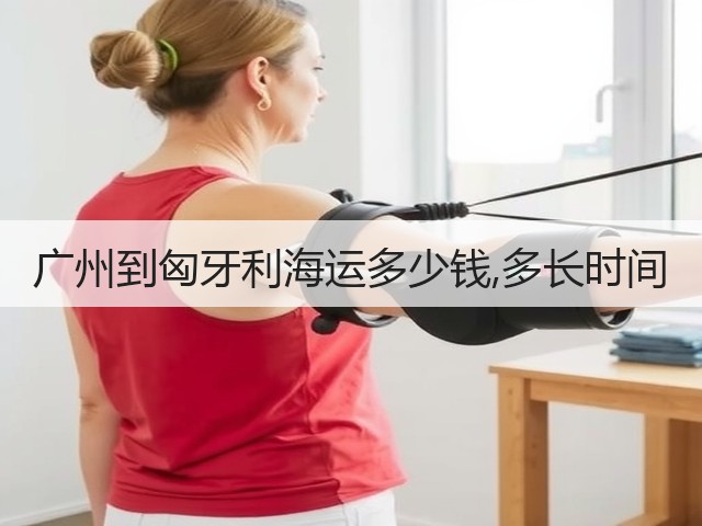 广州到匈牙利海运多少钱,多长时间(图1) 广州到匈牙利海运多少钱,多长时间(图1)
