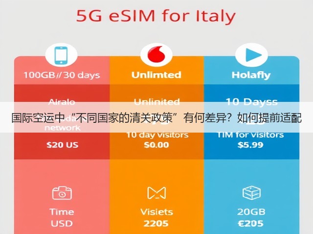 国际空运中“不同国家的清关政策”有何差异?如何提前适配(图1) 国际空运中“不同国家的清关政策”有何差异?如何提前适配(图1)