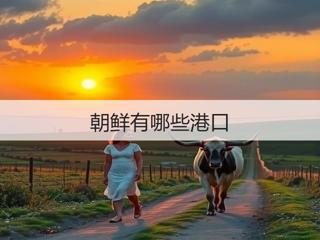 朝鲜有哪些港口(图3) 朝鲜有哪些港口(图3)