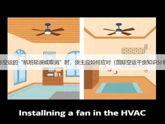 国际空运的“航班延误或取消”时,货主应如何应对(国际空运干货知识分享)(图3) 国际空运的“航班延误或取消”时,货主应如何应对(国际空运干货知识分享)(图3)