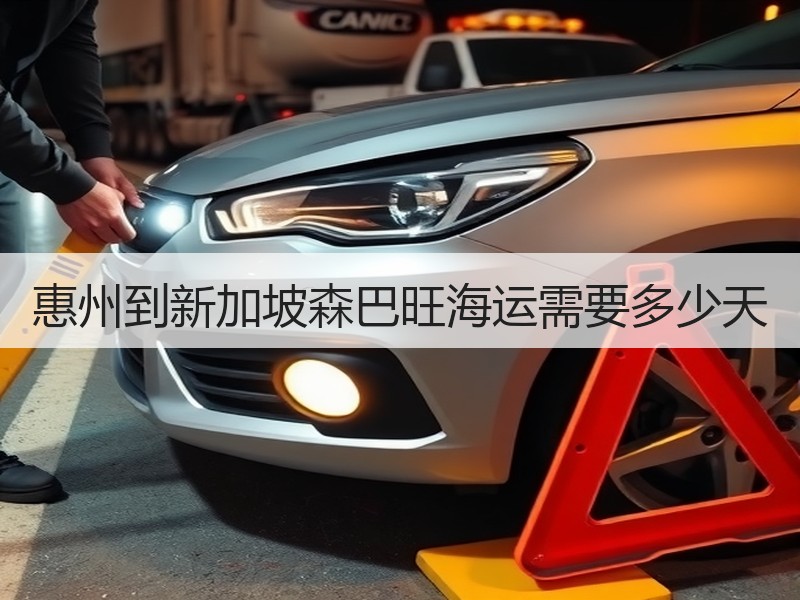 惠州到新加坡森巴旺海运需要多少天 惠州到新加坡森巴旺海运需要多少天