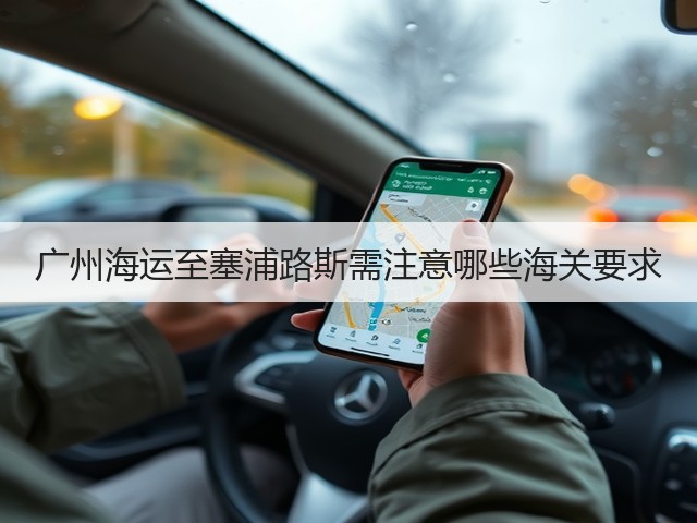 广州海运至塞浦路斯需注意哪些海关要求(图3) 广州海运至塞浦路斯需注意哪些海关要求(图3)