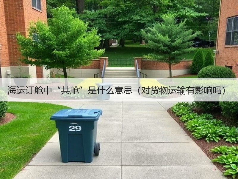 海运订舱中“共舱”是什么意思(对货物运输有影响吗) 海运订舱中“共舱”是什么意思(对货物运输有影响吗)