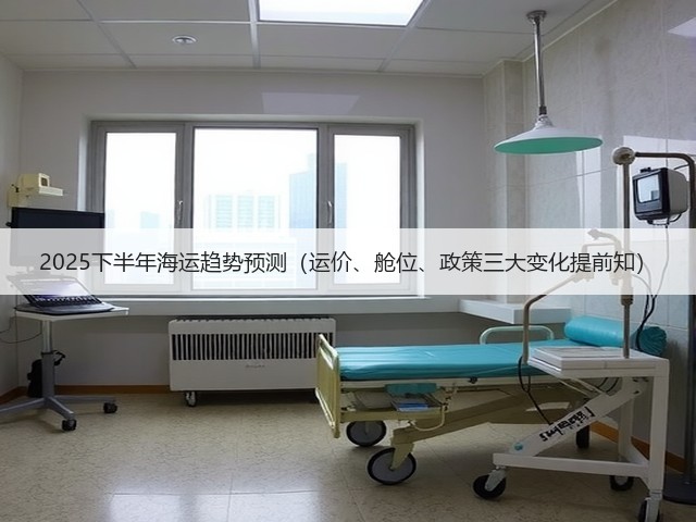 2025下半年海运趋势预测(运价、舱位、政策三大变化提前知)(图3) 2025下半年海运趋势预测(运价、舱位、政策三大变化提前知)(图3)
