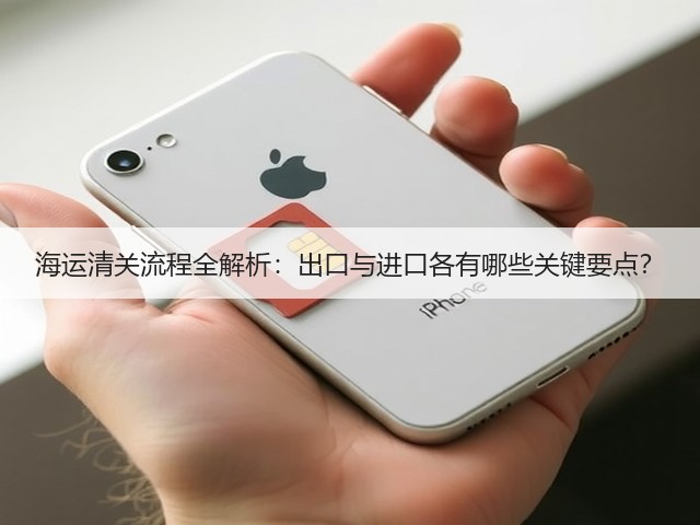 海运清关流程全解析：出口与进口各有哪些关键要点？(图2)