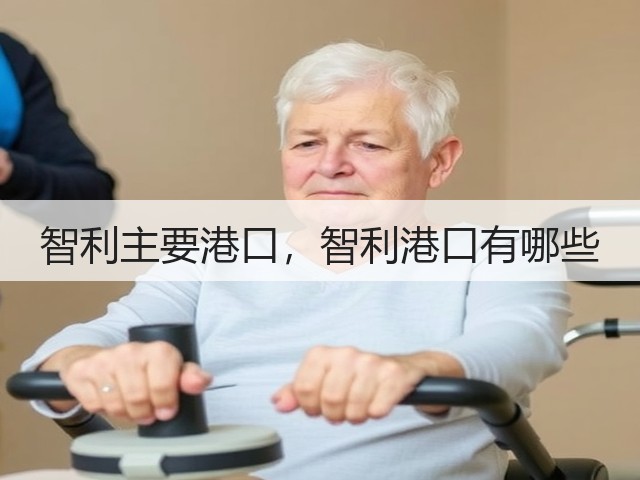 智利主要港口,智利港口有哪些(图1) 智利主要港口,智利港口有哪些(图1)
