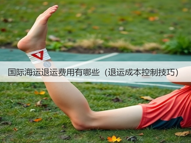 国际海运退运费用有哪些(退运成本控制技巧)(图1) 国际海运退运费用有哪些(退运成本控制技巧)(图1)