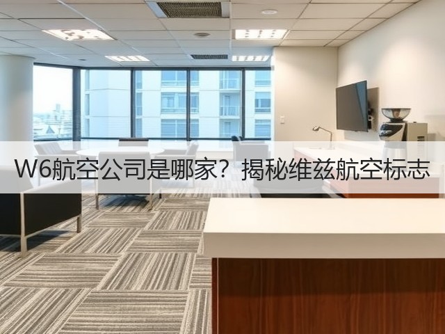 W6航空公司是哪家?揭秘维兹航空标志(图2) W6航空公司是哪家?揭秘维兹航空标志(图2)
