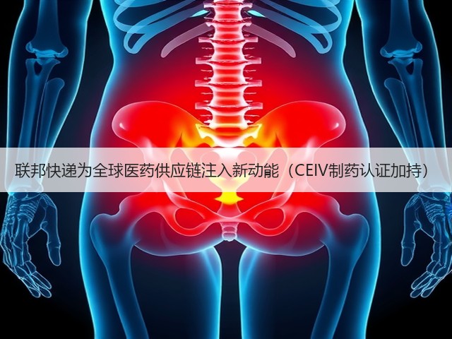 联邦快递为全球医药供应链注入新动能（CEIV制药认证加持）(图2)