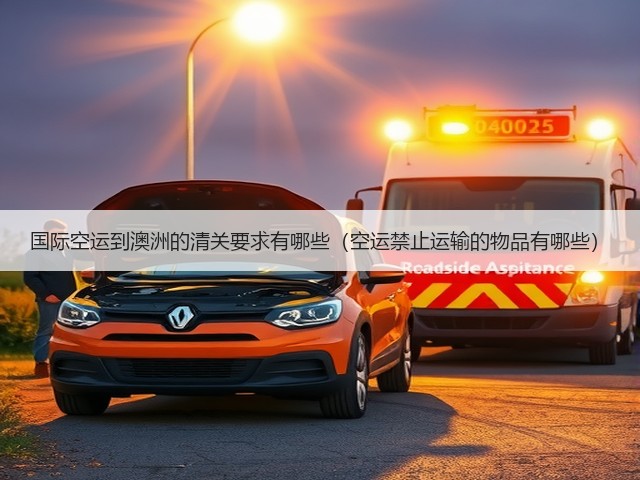 国际空运到澳洲的清关要求有哪些(空运禁止运输的物品有哪些)(图3) 国际空运到澳洲的清关要求有哪些(空运禁止运输的物品有哪些)(图3)