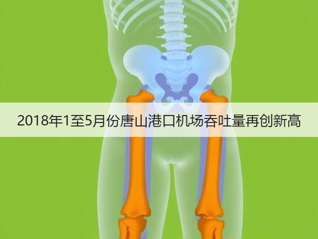 2018年1至5月份唐山港口机场吞吐量再创新高(图3) 2018年1至5月份唐山港口机场吞吐量再创新高(图3)