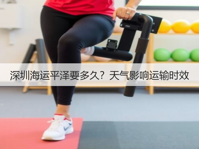 深圳海运平泽要多久？天气影响运输时效(图1)