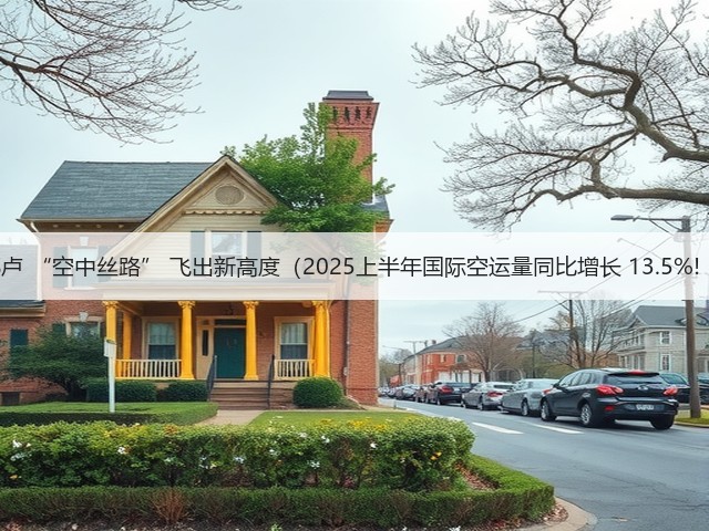 郑卢 “空中丝路” 飞出新高度(2025上半年国际空运量同比增长 13.5%! )(图2) 郑卢 “空中丝路” 飞出新高度(2025上半年国际空运量同比增长 13.5%! )(图2)