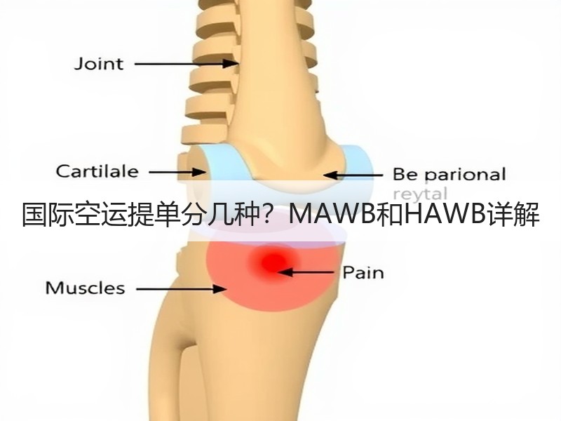 国际空运提单分几种？MAWB和HAWB详解