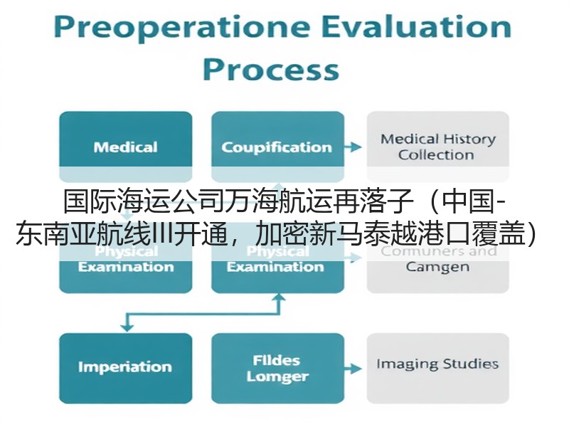国际海运公司万海航运再落子(中国-东南亚航线III开通,加密新马泰越港口覆盖) 国际海运公司万海航运再落子(中国-东南亚航线III开通,加密新马泰越港口覆盖)