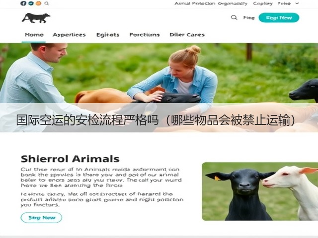 国际空运的安检流程严格吗(哪些物品会被禁止运输)(图3) 国际空运的安检流程严格吗(哪些物品会被禁止运输)(图3)