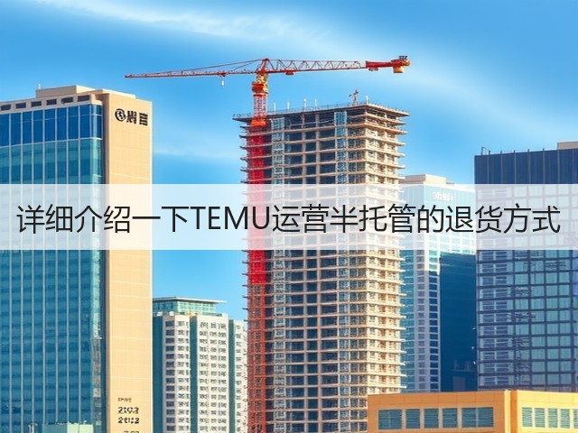 详细介绍一下TEMU运营半托管的退货方式(图3) 详细介绍一下TEMU运营半托管的退货方式(图3)