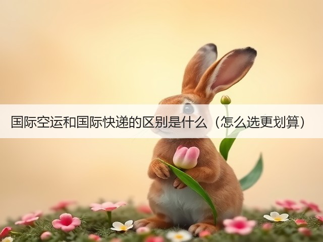 国际空运和国际快递的区别是什么(怎么选更划算)(图2) 国际空运和国际快递的区别是什么(怎么选更划算)(图2)