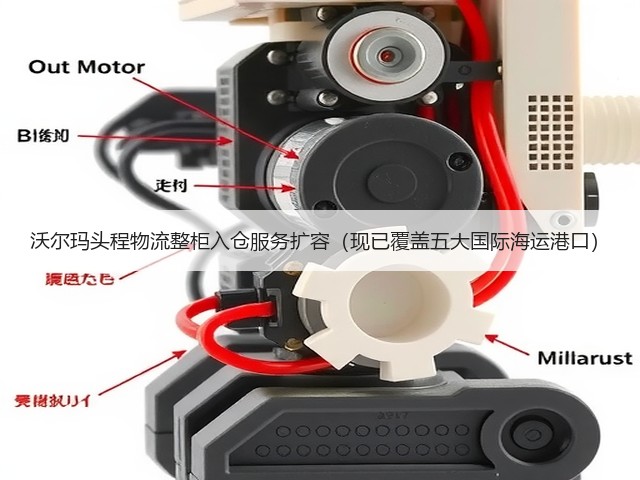 沃尔玛头程物流整柜入仓服务扩容（现已覆盖五大国际海运港口）(图2)
