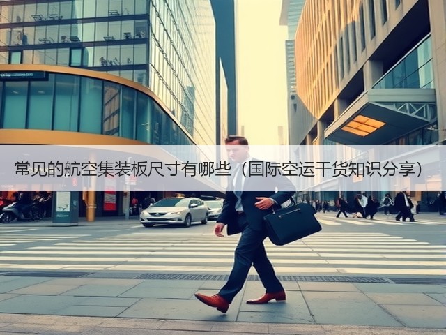 常见的航空集装板尺寸有哪些(国际空运干货知识分享)(图1) 常见的航空集装板尺寸有哪些(国际空运干货知识分享)(图1)